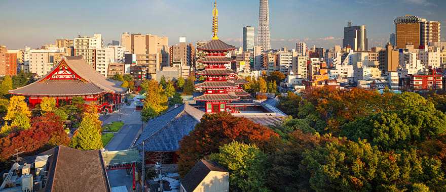 Heritage and modernity: Buddhist temples against the backdrop of a metropolis, Tokyo, Japan