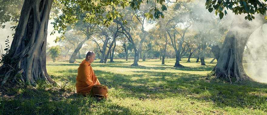 Monk meditating under a tree in Cambodia