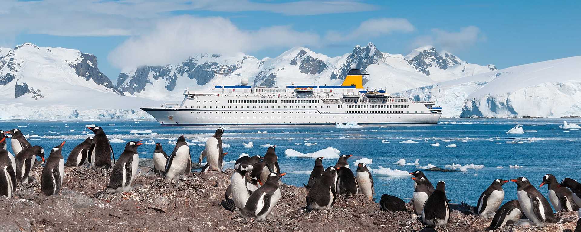 Penguins and cruise ship in Antarctica