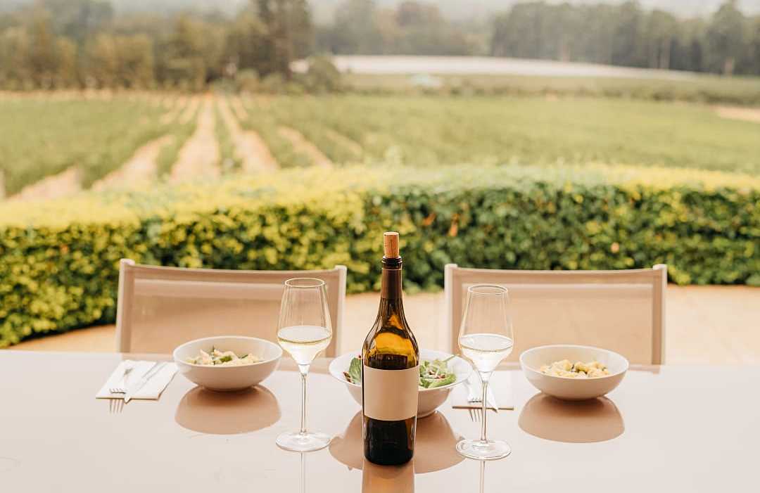 Cape Town meal at a wine farm. Cape Town meal at a wine farm.