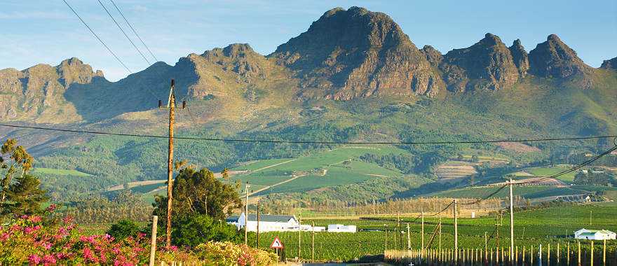 Mountain near Stellenbosch in South African 