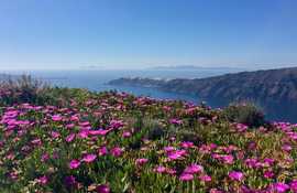 Greece in Spring: Where to Go, What to Do, the Weather, & More | Zicasso