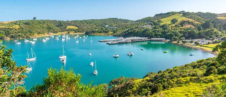 Beautiful bay on Waiheke Island in New Zealand 