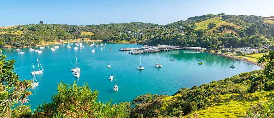 Beautiful bay on Waiheke Island in New Zealand 