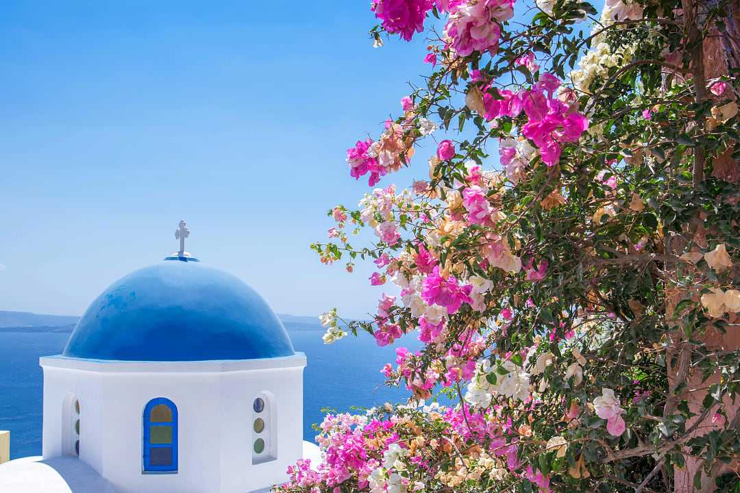 Blue dome church with spring flowers on Santorini island, Greece