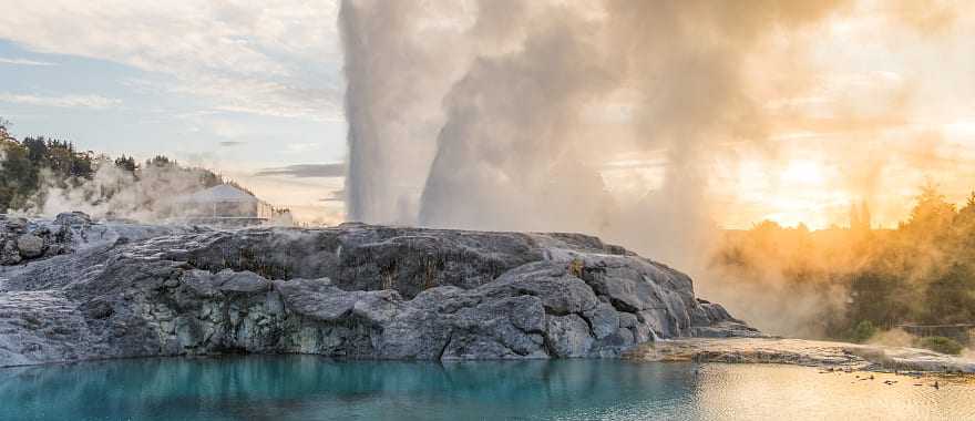 Pohutu geyser in the Whakarewarewa thermal valley, Rotorua, New Zealand. Photo courtesy of Te Puai.