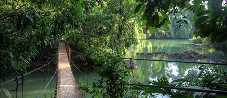 Travel through the trees with the whole family on the Arenal's suspension bridges Travel through the trees with the whole family on the Arenal's suspension bridges