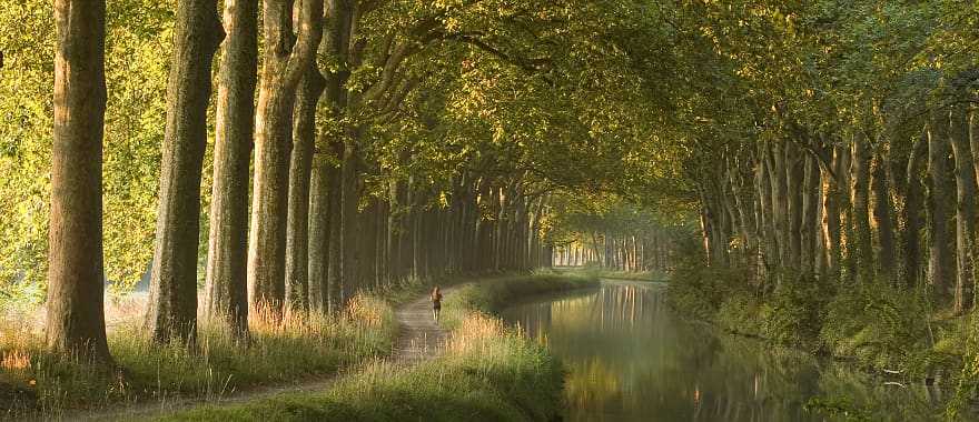 Morning at Canal du Midi in Toulouse, France