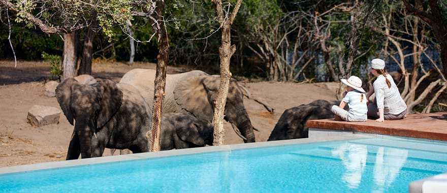 Five-Star Zimbabwe Safari For Active Families