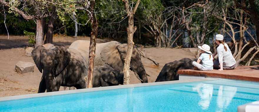 Five-Star Zimbabwe Safari For Active Families