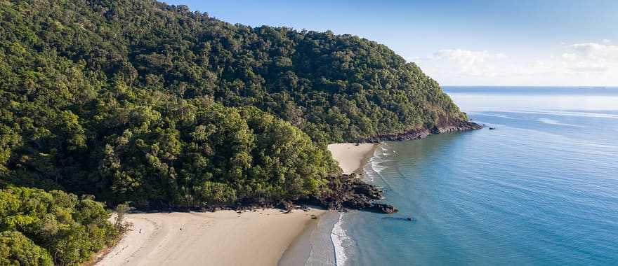 Daintree, the place where the rainforest meets the coral sea in Australia