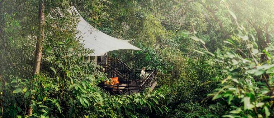 Woman admiring view from Luxury tent in the Chiang Rai wilderness. Photo courtesy Chiang Rai Four Season Tented Camp