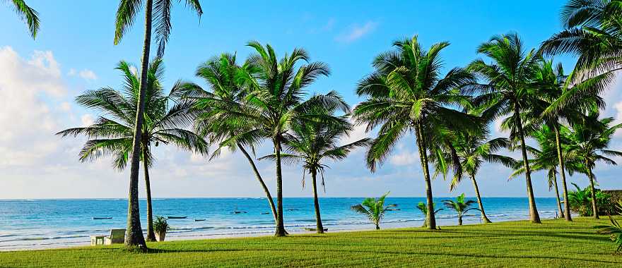 Tropical coast with palm trees and beaches in Diana, Kenya
