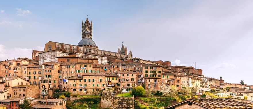 Impressive panoramic view of the city of Siena