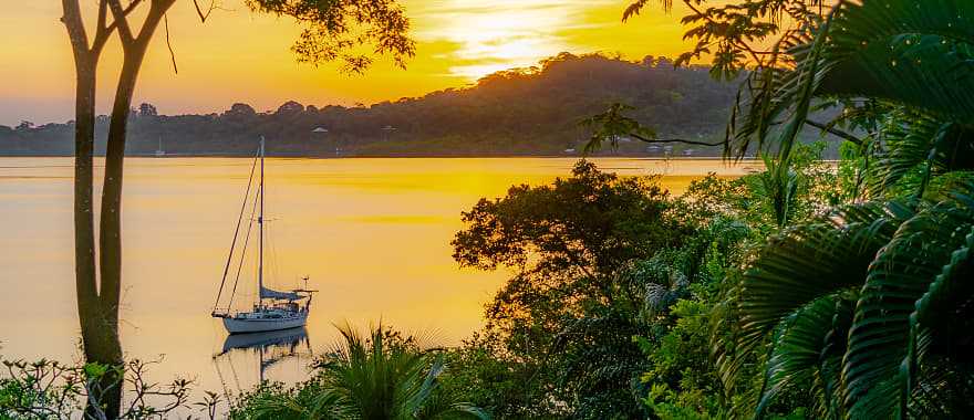 Dolphin bay in Bocas del Toro, Panama