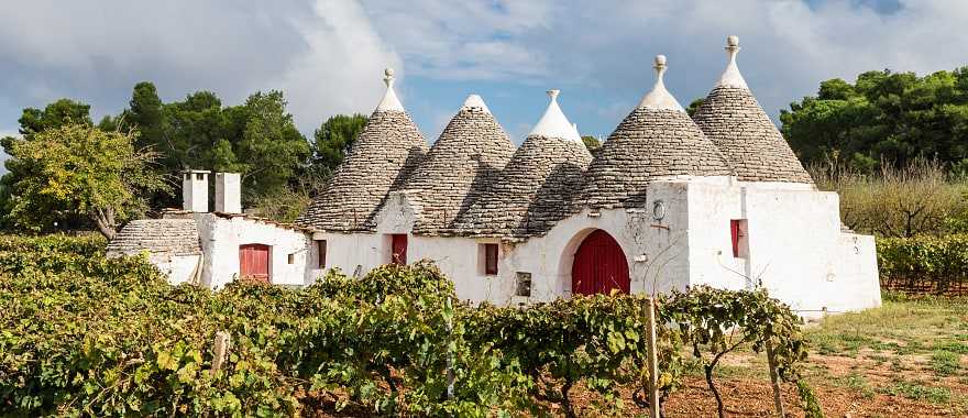Vineyard with trulli houses in Alberobello, Puglia Region, Italy