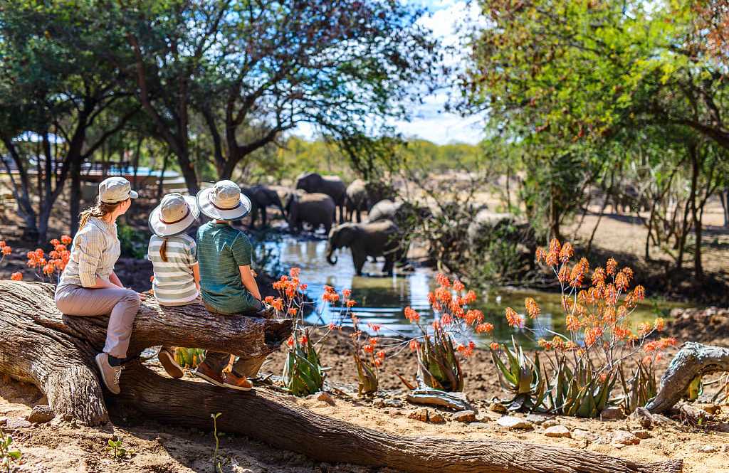 Timbavati Game Reserve, South Africa Mother and kids on African safari enjoying elephants at watering hole