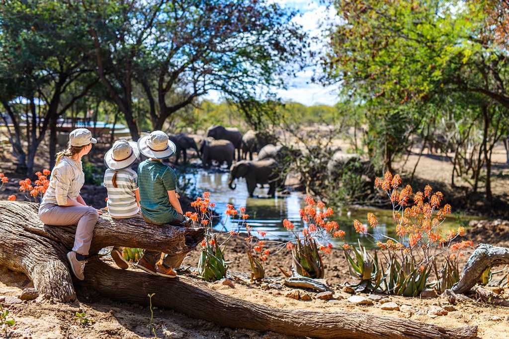 Mother and kids on African safari enjoying elephants at watering hole
