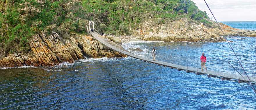 Bridge in Tsitsikamma National Park, South Africa.