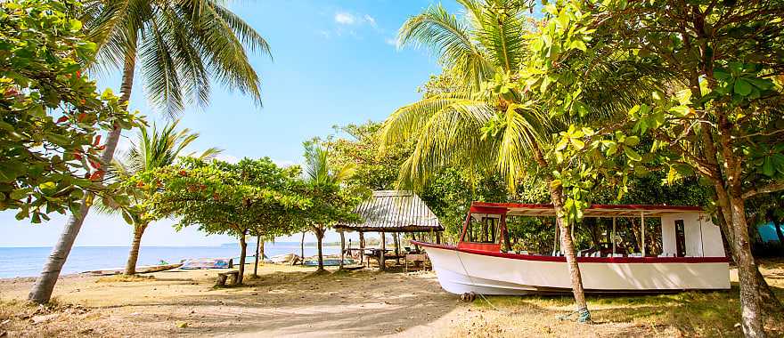 Ride a pleasure boat along Pacific beaches on this Costa Rica cruise.
