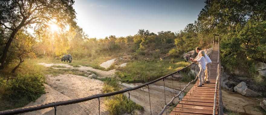 Luxury South African Safari - Dulini Lodge Watching elephants from the bridge at Dulini Lodge in South Africa