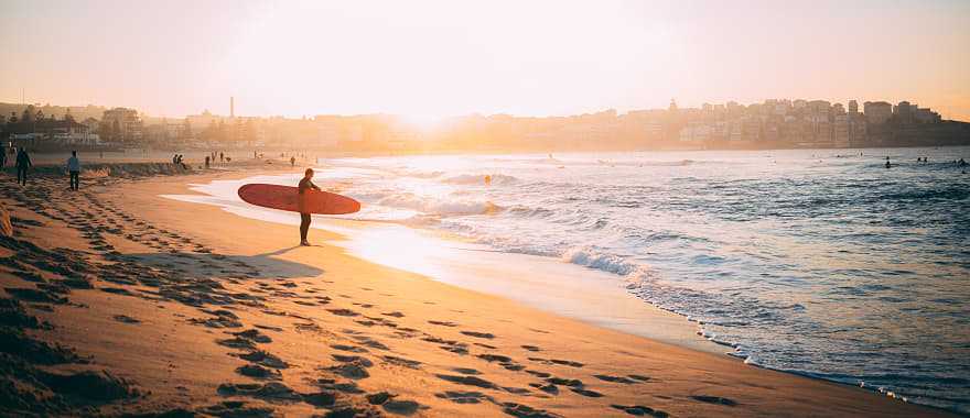 Surfer at sunset on the beach in Bondi, Australia