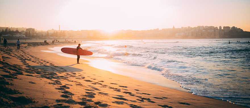 Surfer at sunset on the beach in Bondi, Australia