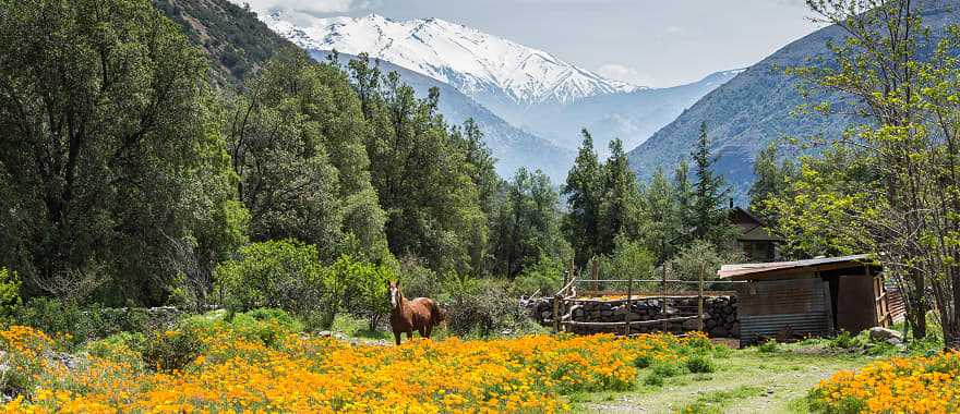 Cajon del Maipo Valley in Chile