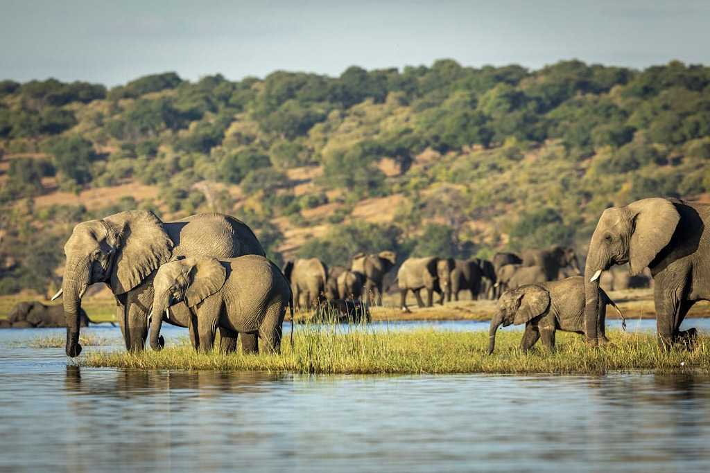 travel intelligence botswana