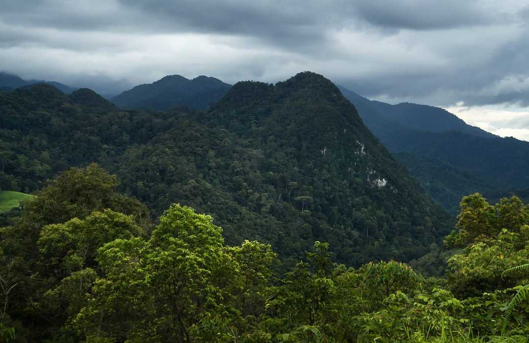 Gunung National Park, Indonesia.