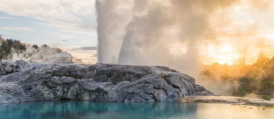 Geothermal Geyser at Te Puia in Rotorua, New Zealand Mt Cook, South Island, New Zealand