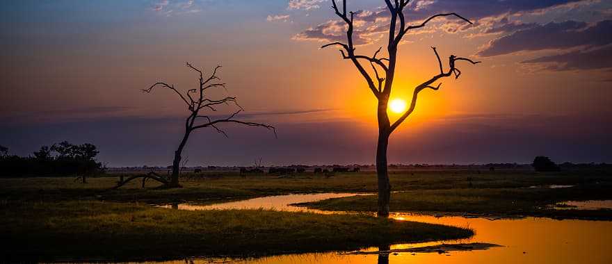 Sun setting on Botswana, Africa