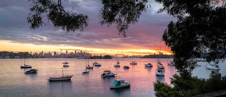 View of Sydney Harbour at sunset in Australia