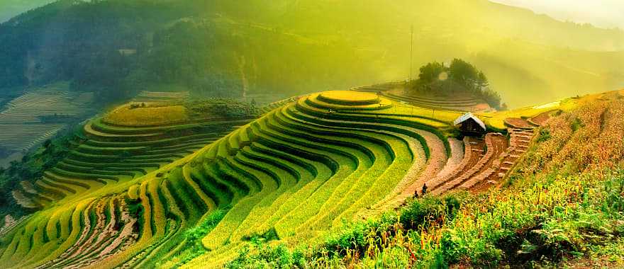 Rice field terraces at sunrise 