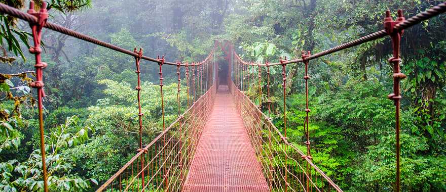 Famous hanging bridge in Monteverde, Costa Rica. 
