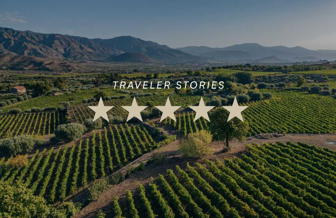 Vineyards in Sicily, Italy Vineyards in Sicily, Italy