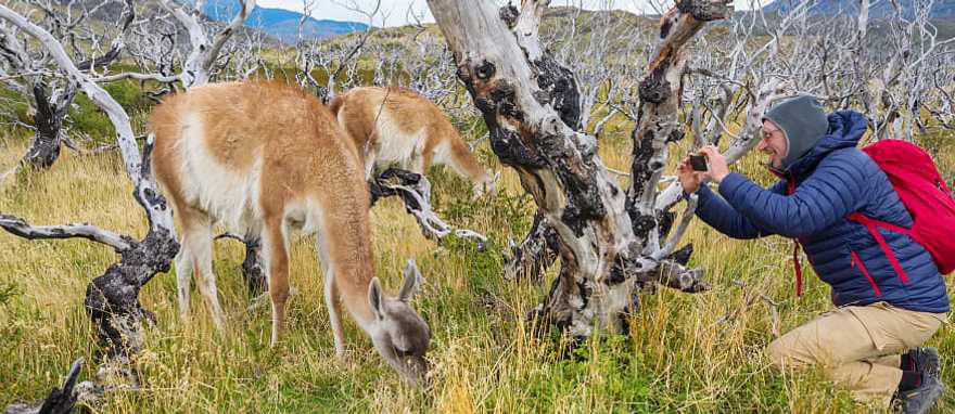 Torres del Paine National Park, Patagonia, Chile Torres del Paine National Park, Patagonia, Chile