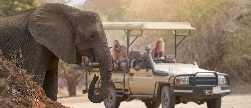 Safari at Mana Pools National Park in Zimbabwe