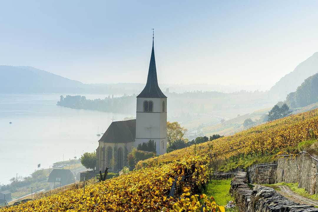 Vineyards of the Lake Biel in Switzerland