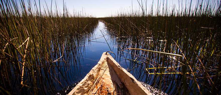 View of the Okavango Delta from a mokoro canoe, Botswana