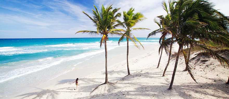 Palm trees on the beach in Cuba