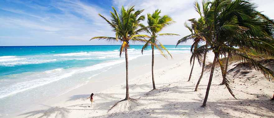 Varadero Beach in Cuba Palm trees on the beach in Cuba