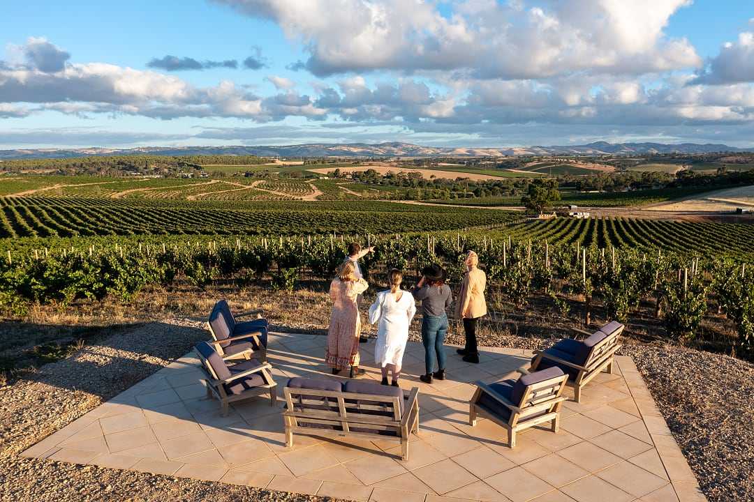 Group of travelers at a luxury vineyard in Barossa Valley, Australia