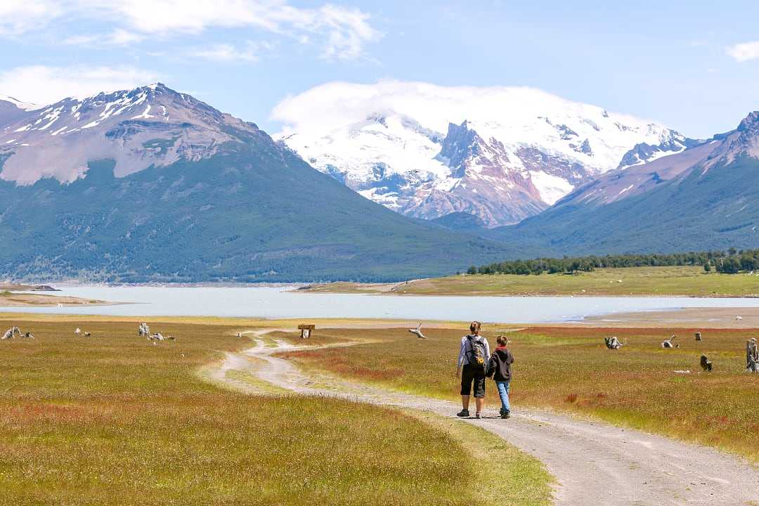 Family walking through path in the Argentinian Patagonia 