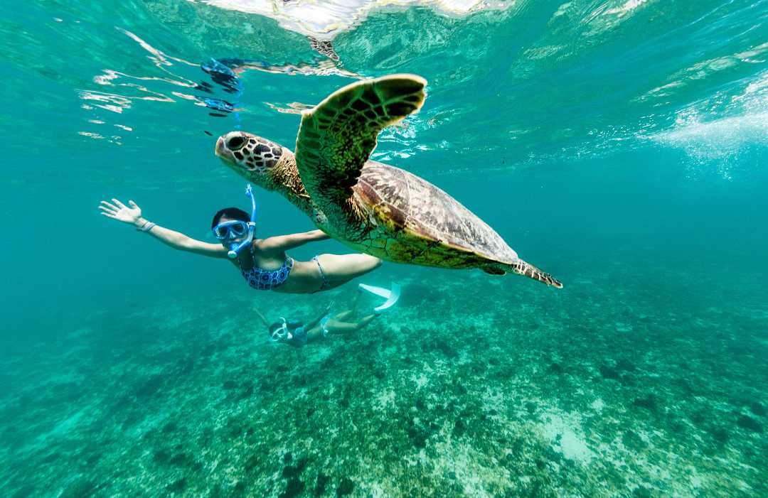 Kerama Islands in Okinawa, Japan Two women snorkeling with a sea turtle in the clear blue waters of Okinawa, Japan