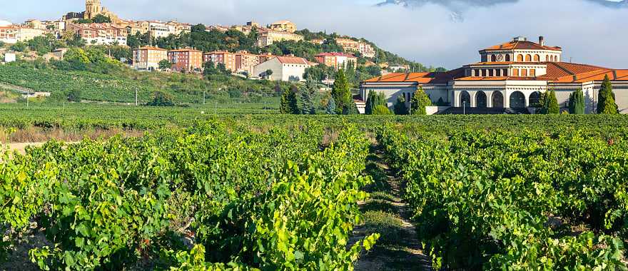 Rioja Alavesa is a world-renowned wine-growing region in Spain, where everyone can enjoy exactly the wine they like.