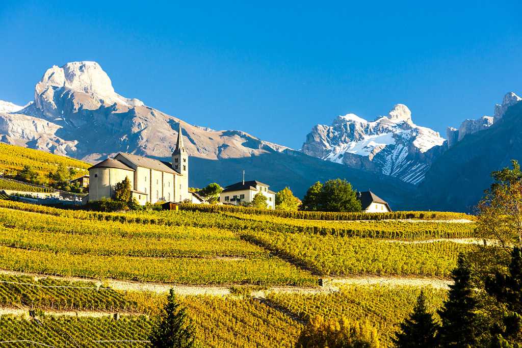 Vineyards in Valais, Switzerland