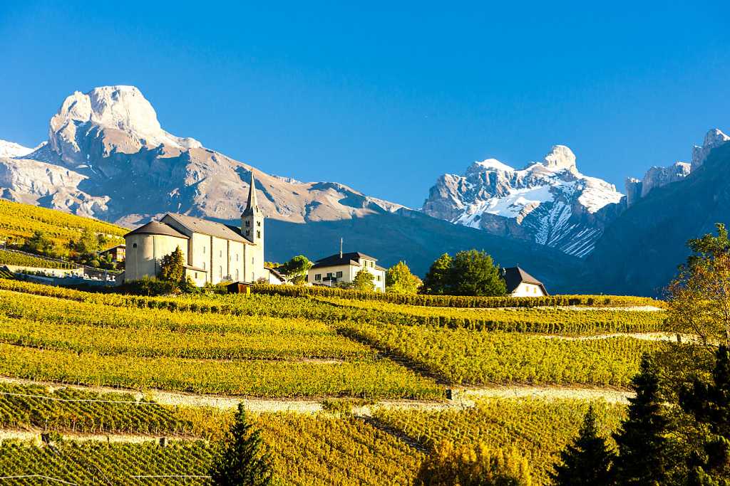 Vineyards in Valais, Switzerland