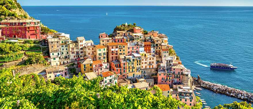 Terraced vineyards above Manarola in the Cinque Terre, Italy