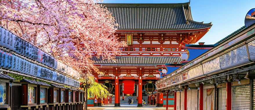 Japan Tokyo Asakusa Temple